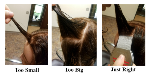 How to section hair for lice treatment